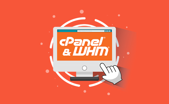 cPanel 1 Account