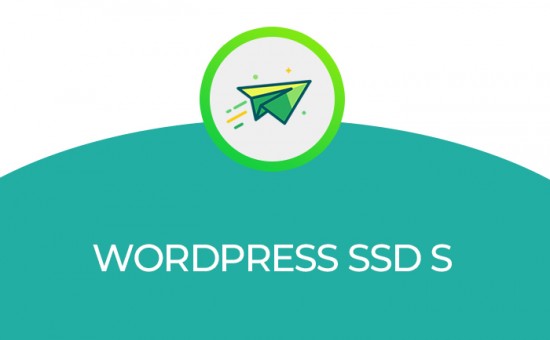 WORDPRESS SSD S